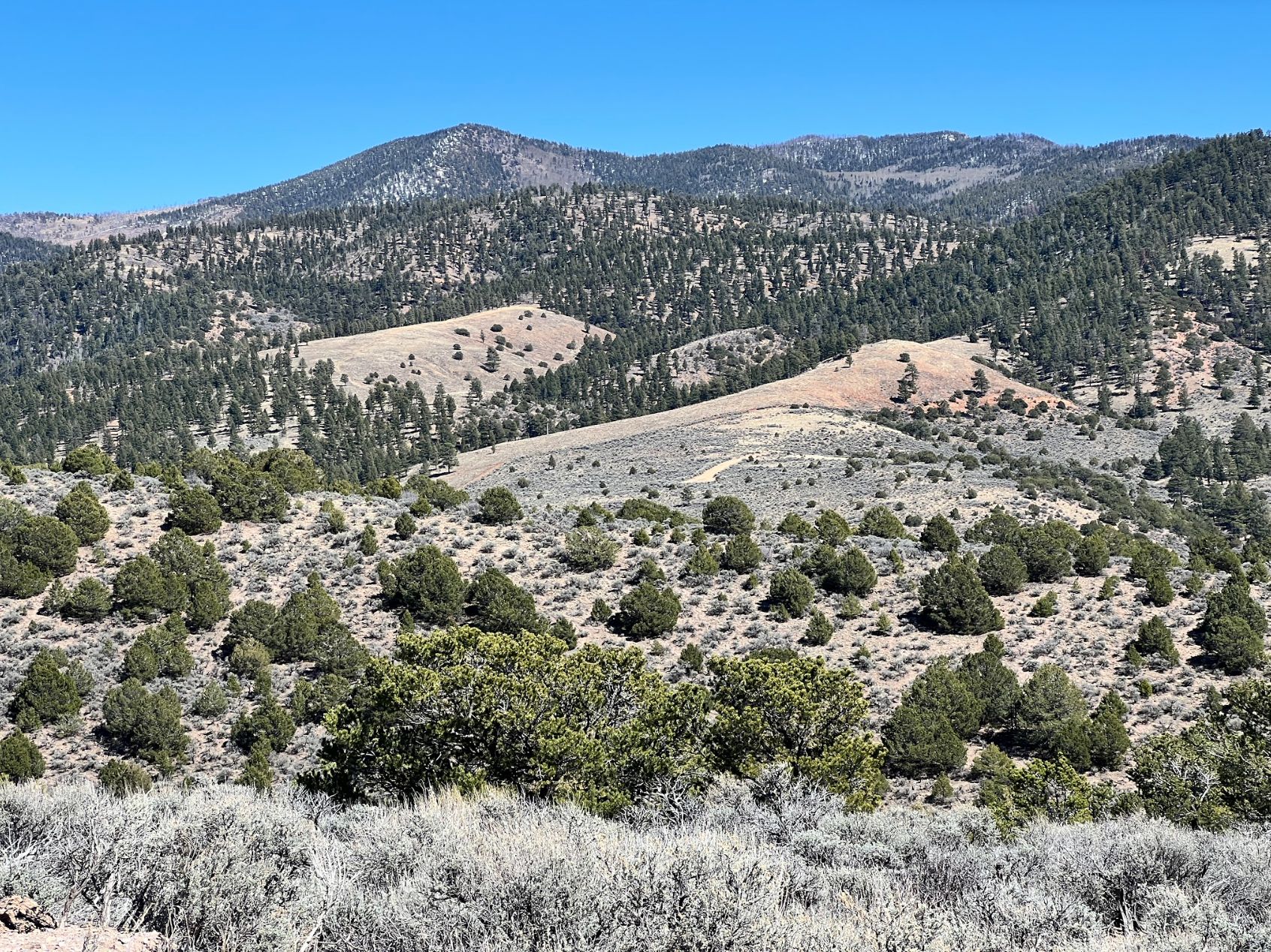 Fort Garland, Costilla County, CO Recreational Property for sale