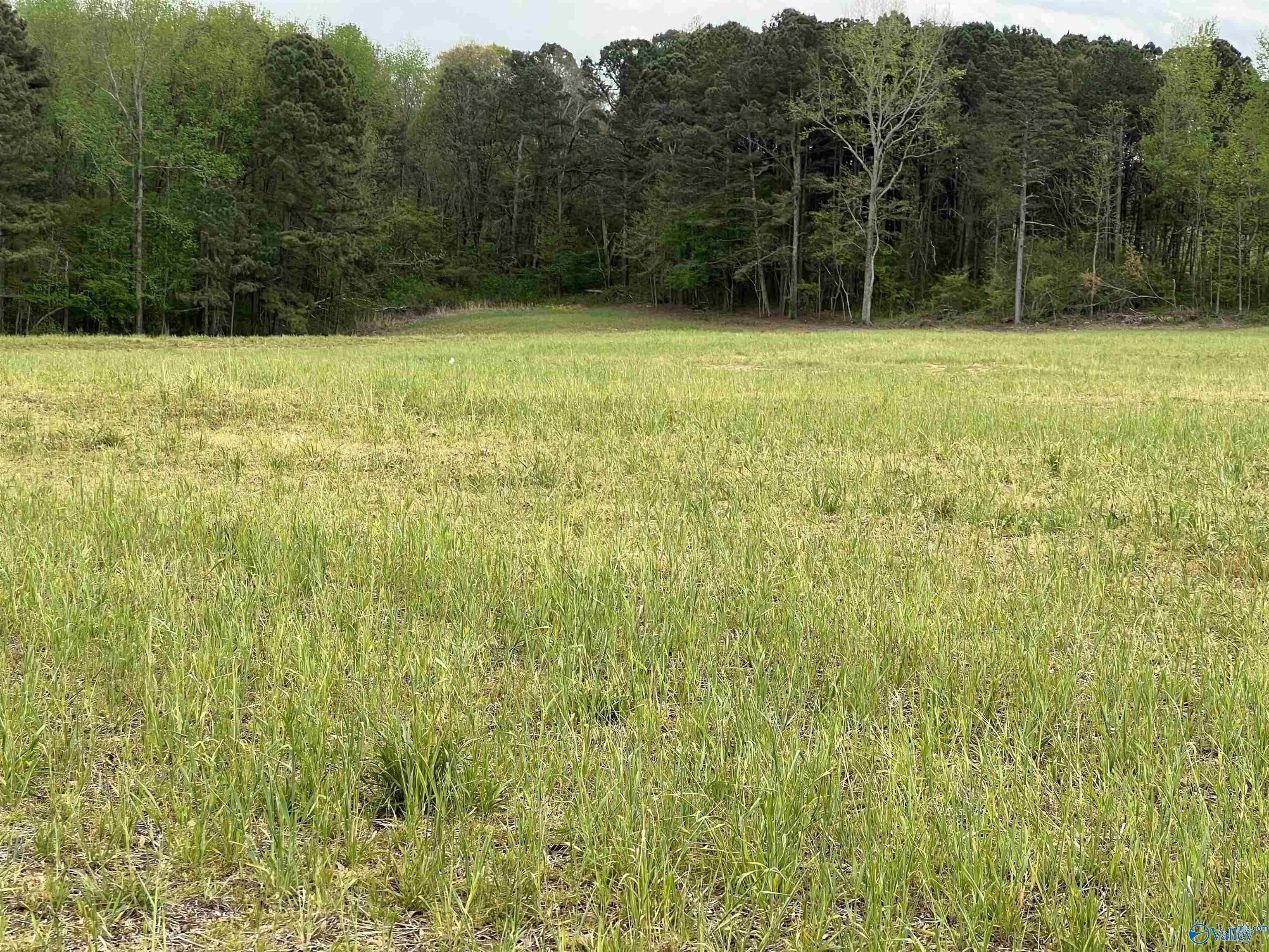 Collinsville, DeKalb County, AL Farms and Ranches for sale Property ID