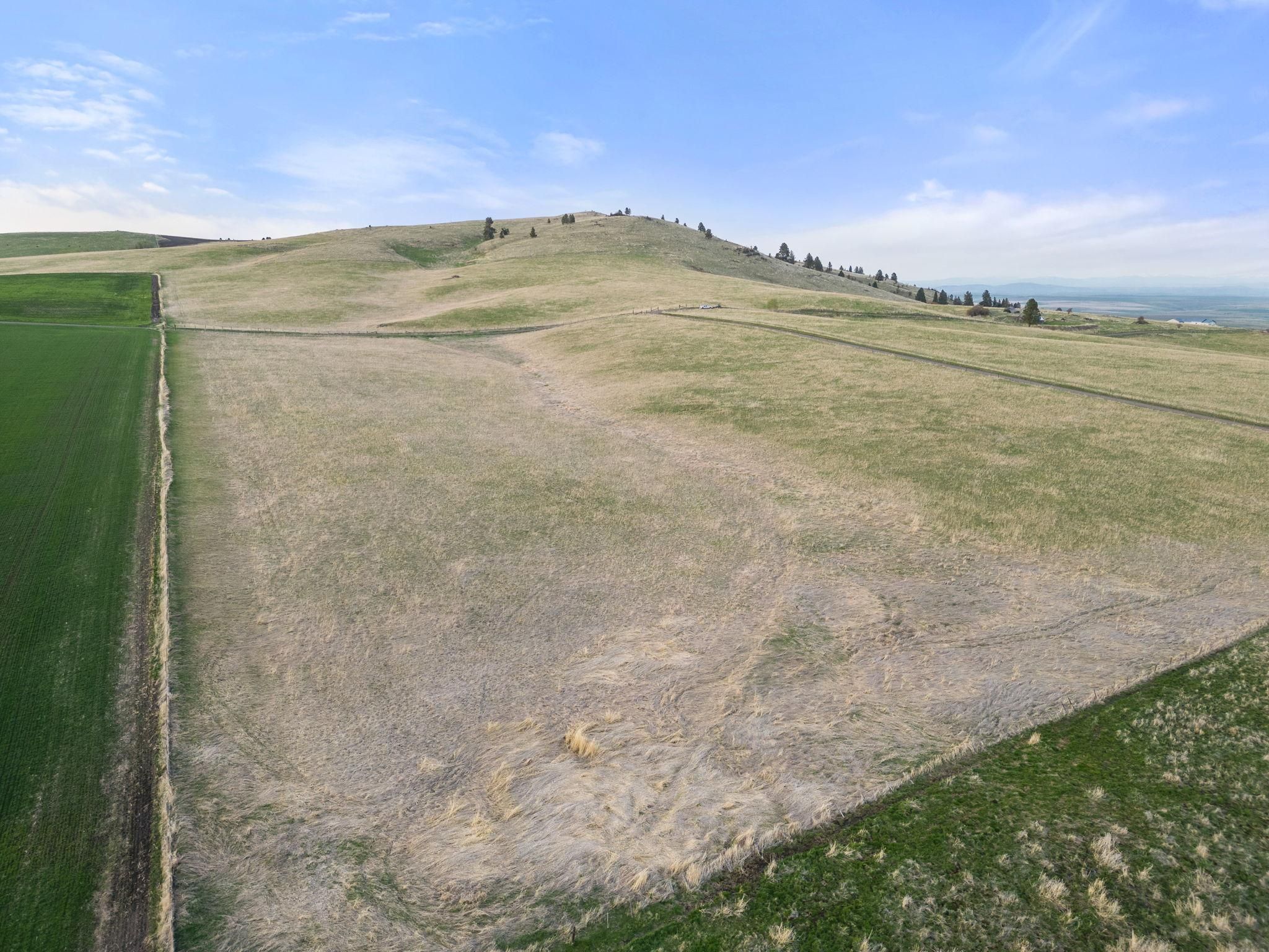 Cottonwood, Idaho County, ID Farms and Ranches for sale Property ID