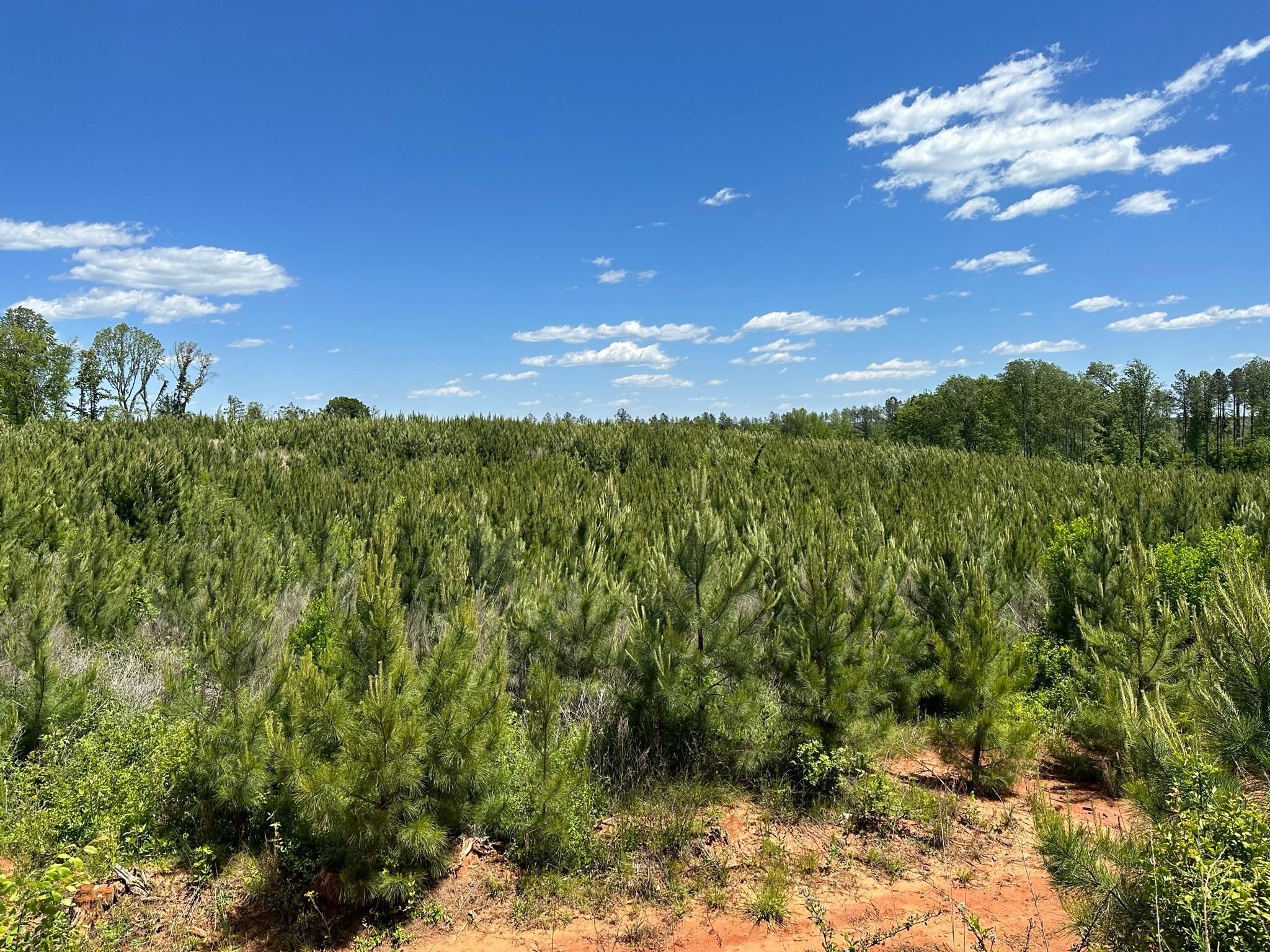 Lockhart, Union County, SC Recreational Property, Timberland Property