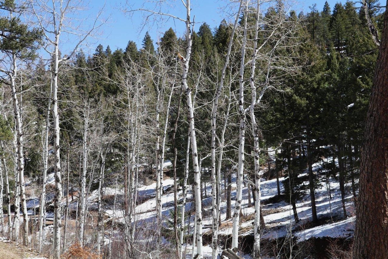Sedalia, Douglas County, CO Recreational Property, Undeveloped Land