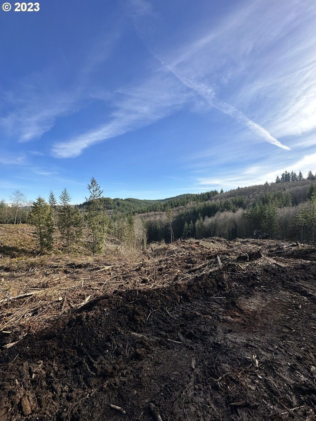 Longview, Cowlitz County, WA Farms and Ranches, Lakefront Property