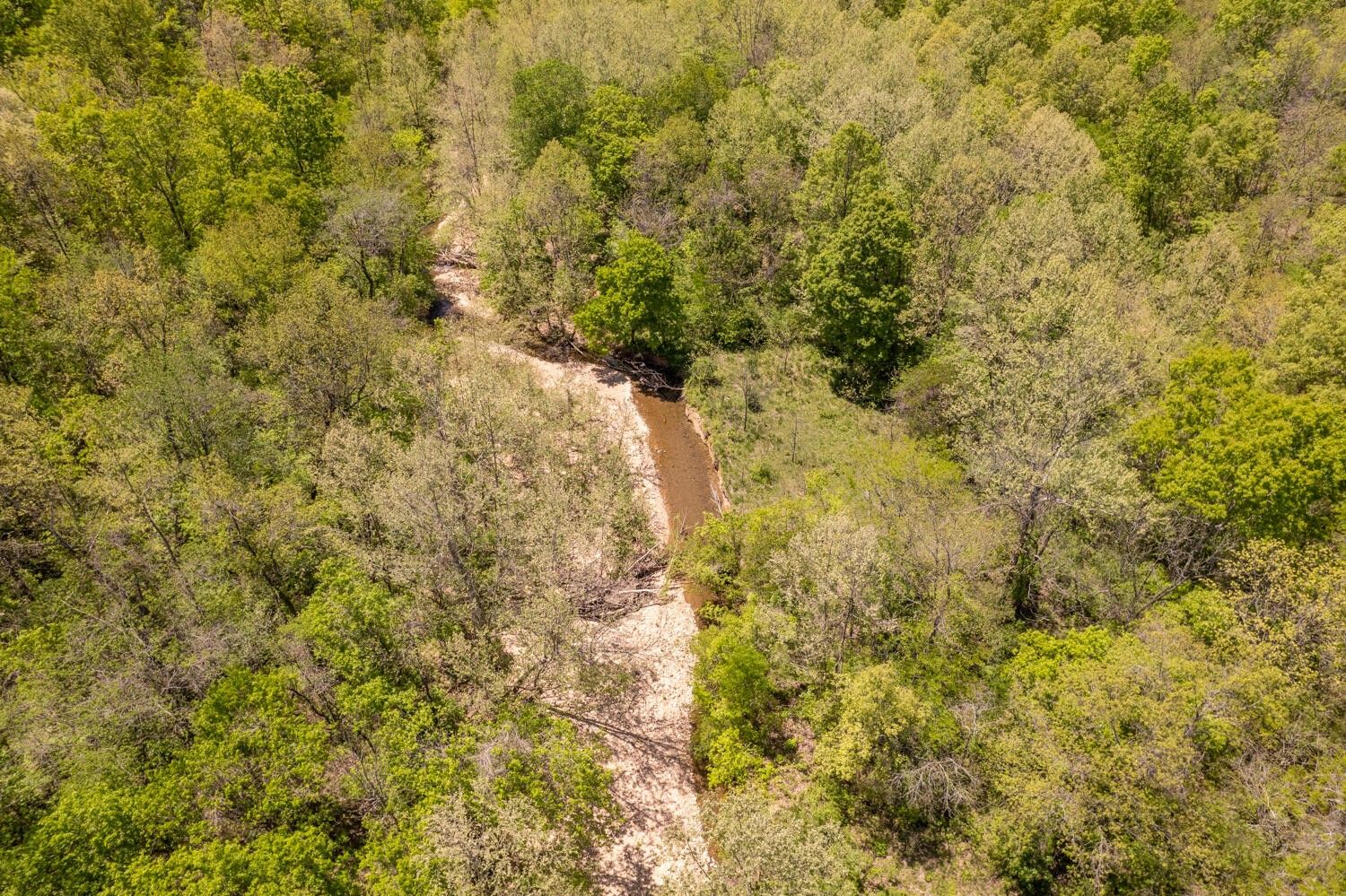 Mammoth Spring, Fulton County, AR Farms and Ranches for sale Property