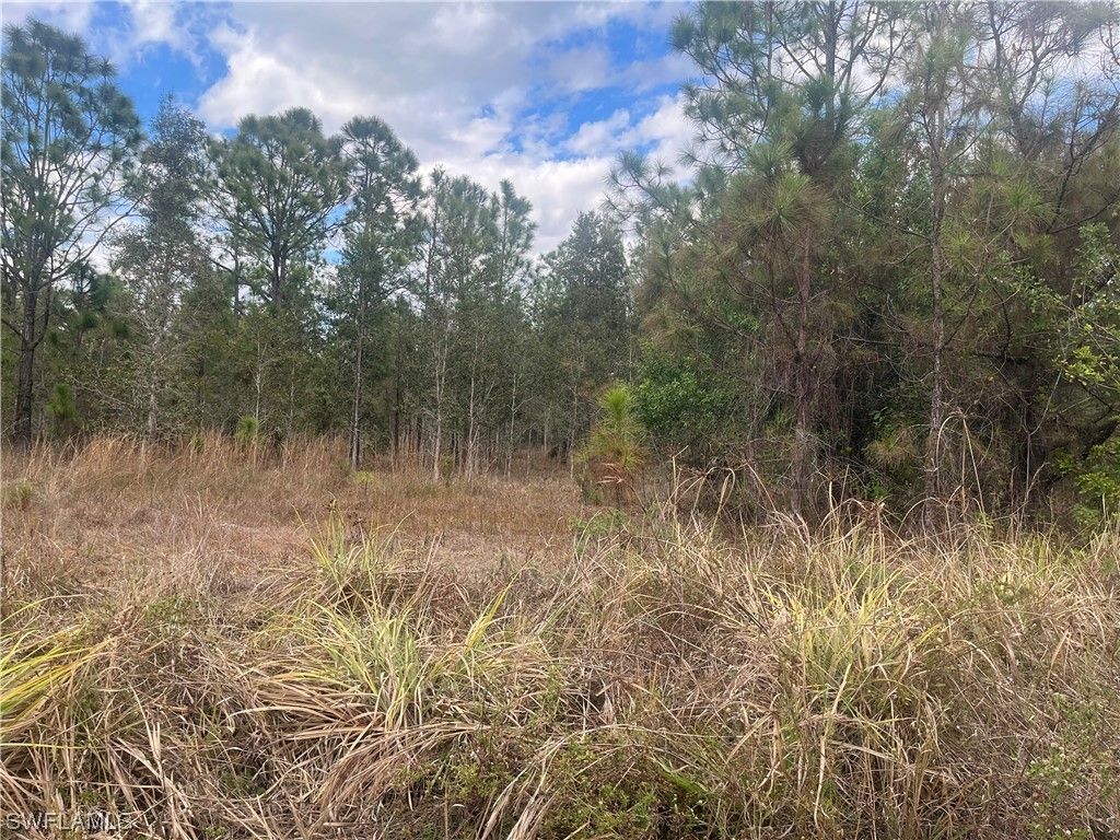 Naples, Collier County, FL Farms and Ranches, Homesites for sale