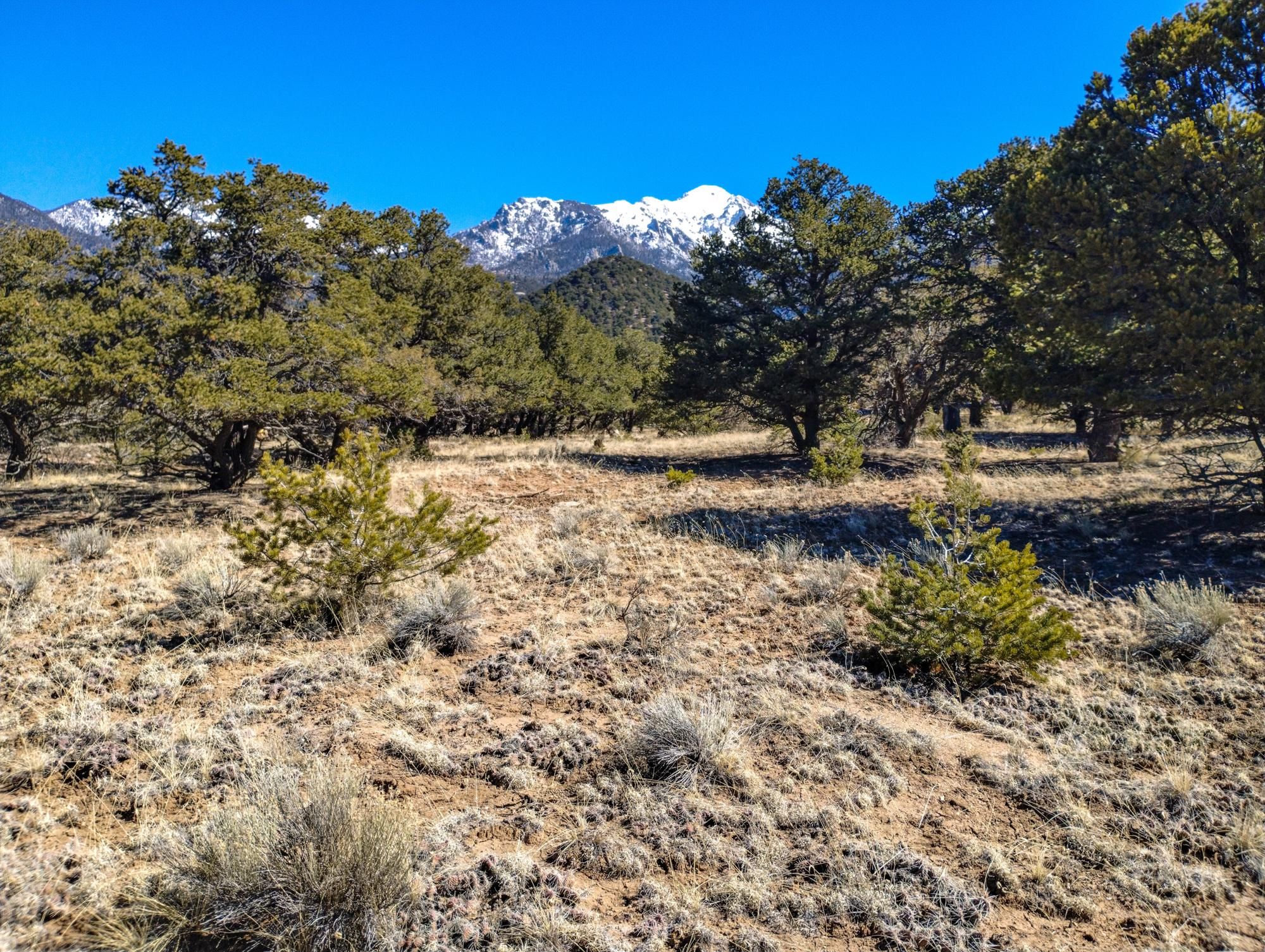 Crestone, Saguache County, CO Recreational Property, Undeveloped Land