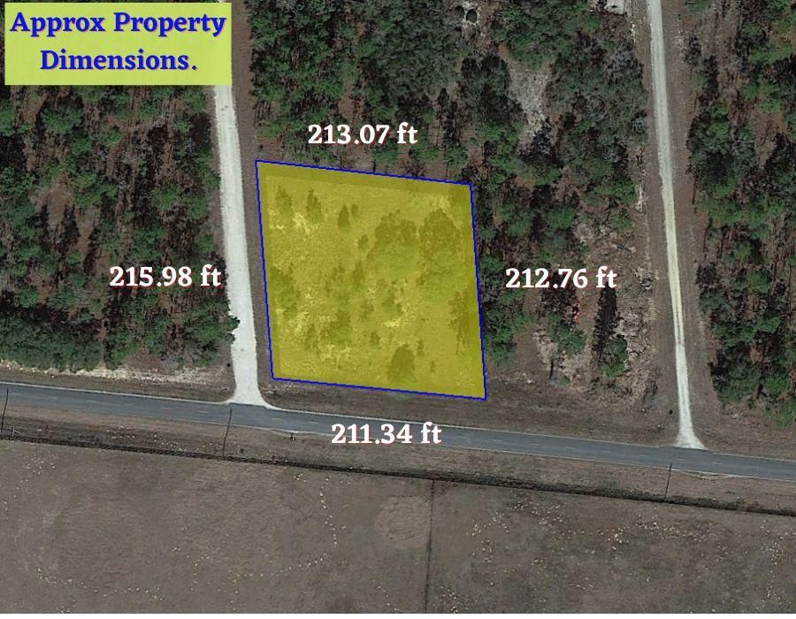 Williston, Levy County, FL Recreational Property, Undeveloped Land