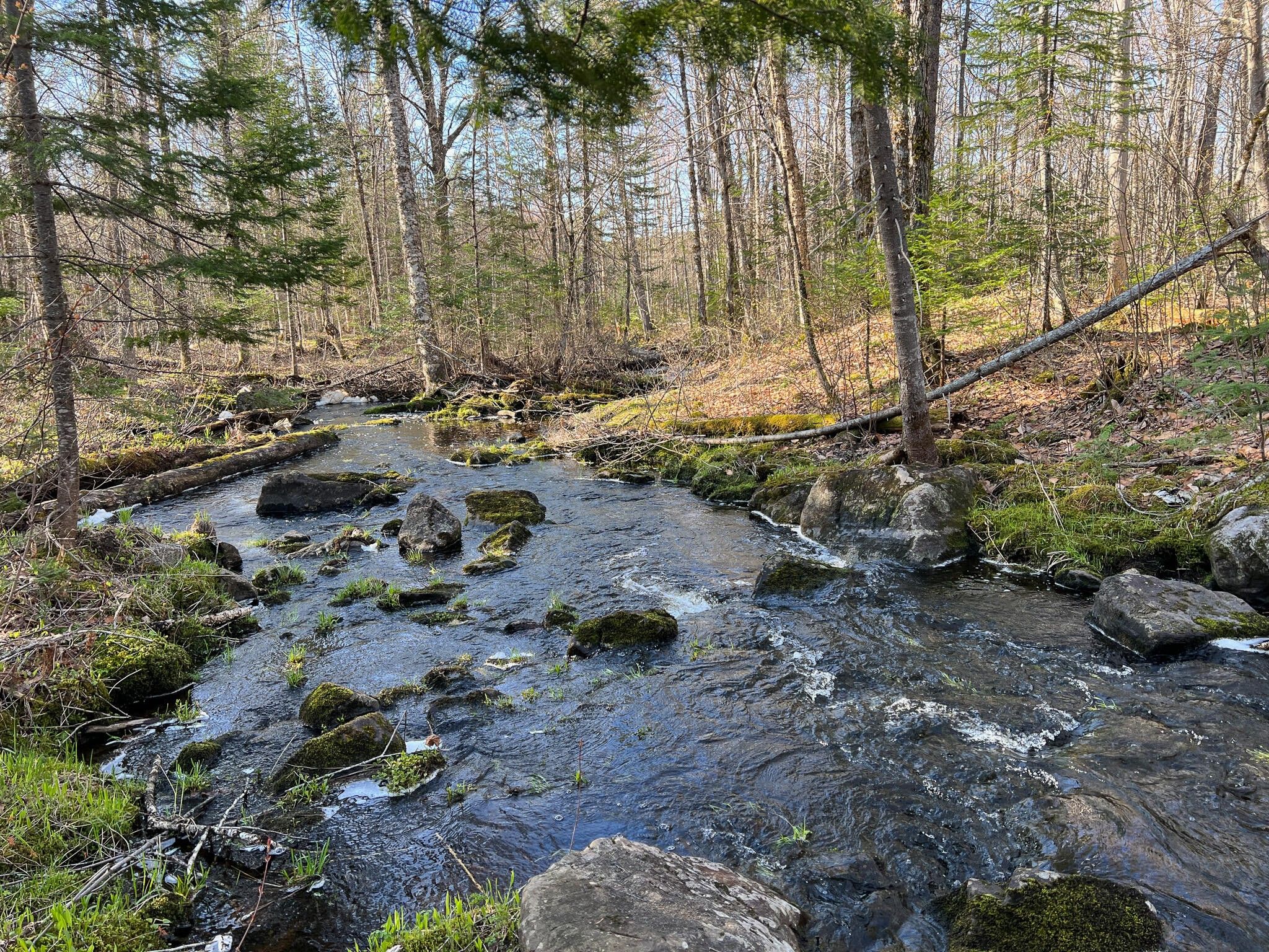 Brownville, Piscataquis County, ME Farms and Ranches, Lakefront