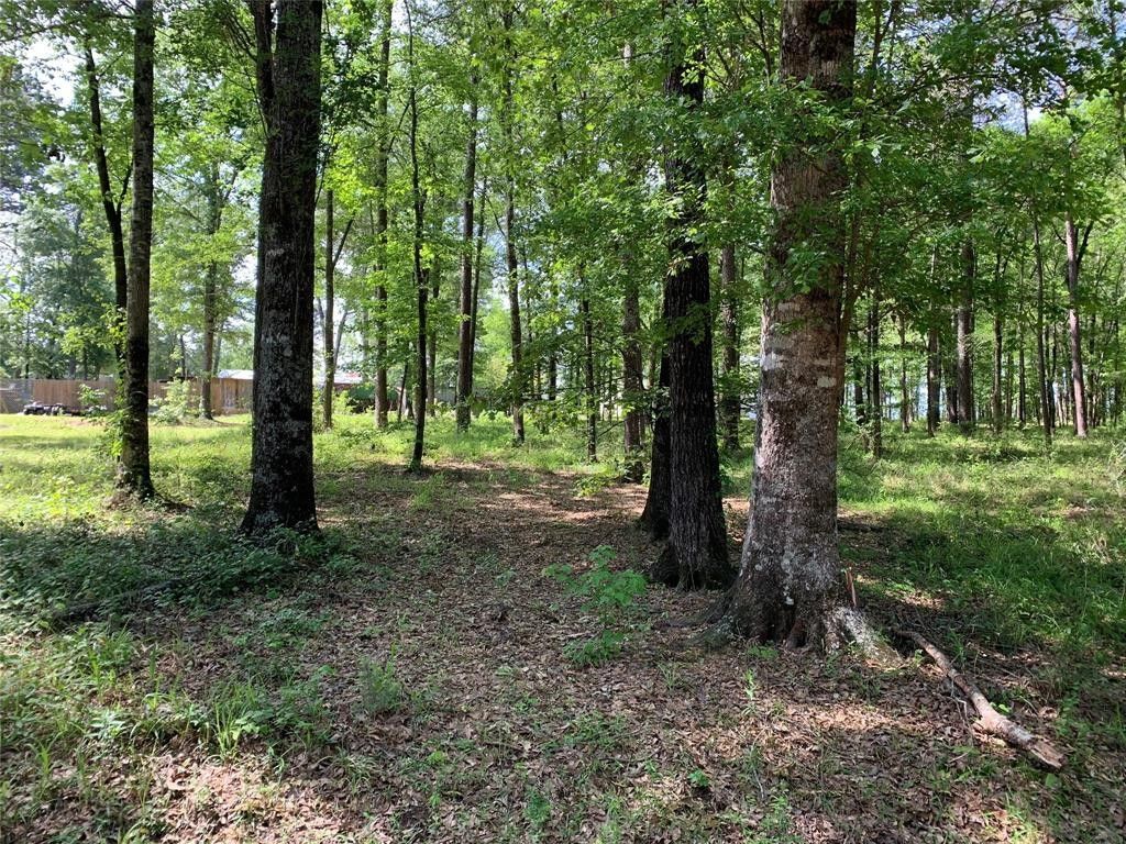 Doyline, ster Parish, LA Undeveloped Land, Homesites for sale