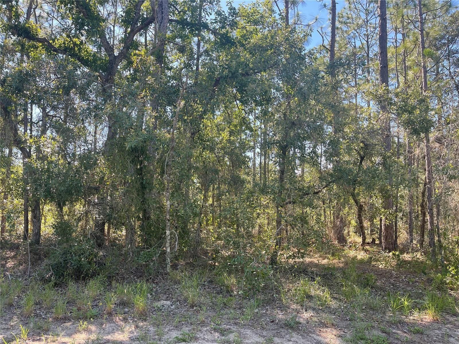 Homosassa, Citrus County, FL Farms and Ranches, Homesites for sale