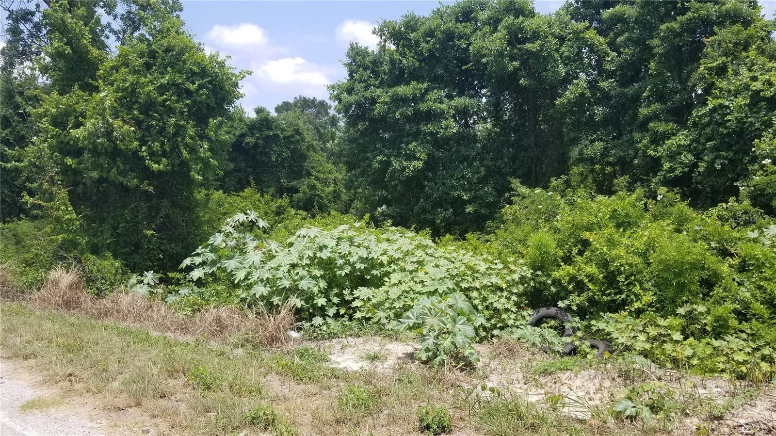 Englewood, Charlotte County, FL Farms and Ranches, Lakefront Property