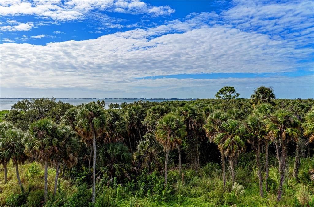 Bradenton, Manatee County, FL Farms and Ranches, Homesites for sale
