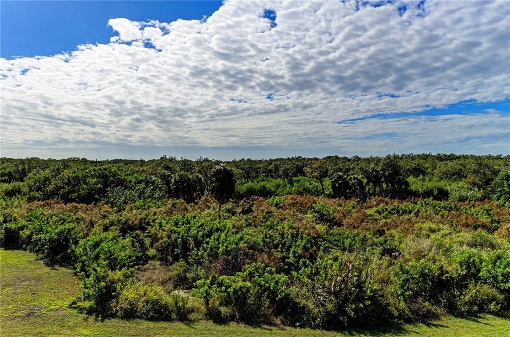 Bradenton, Manatee County, FL Farms and Ranches, Lakefront Property