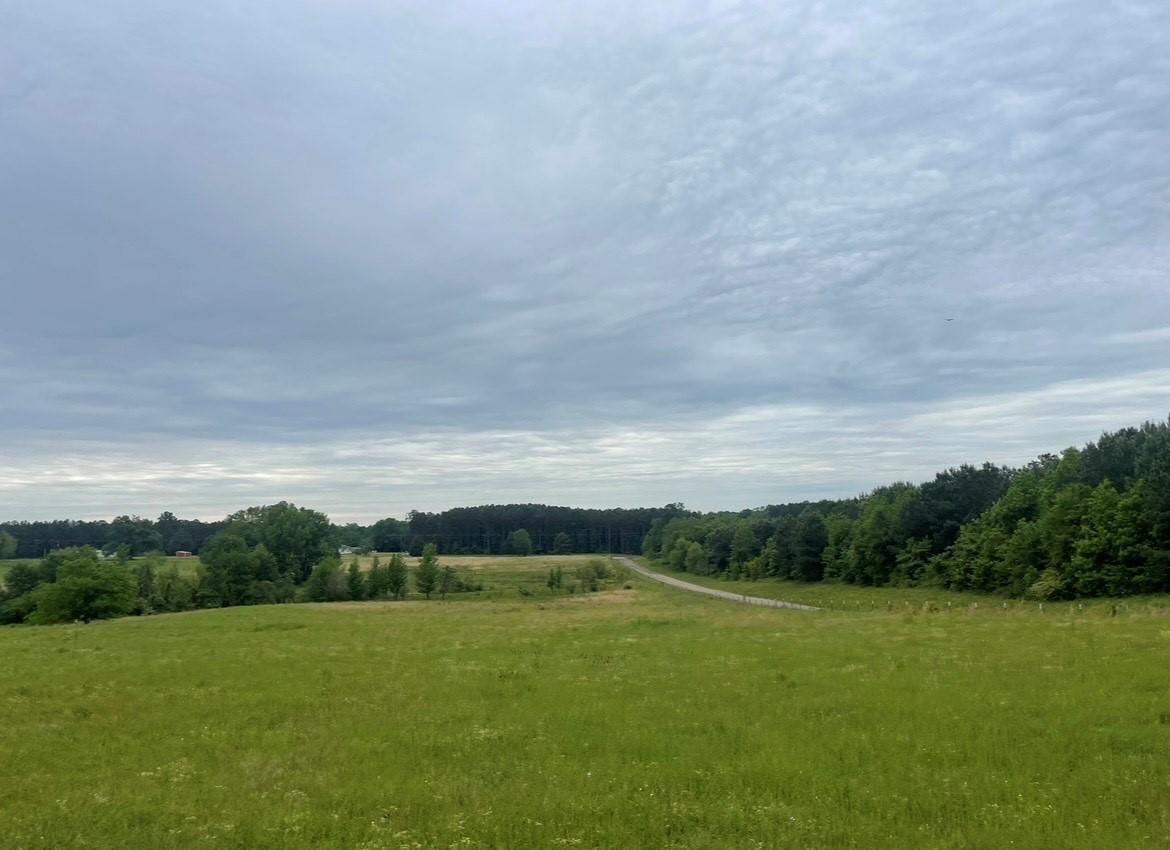 Simms, Bowie County, TX Farms and Ranches, Recreational Property, Undeveloped Land for sale