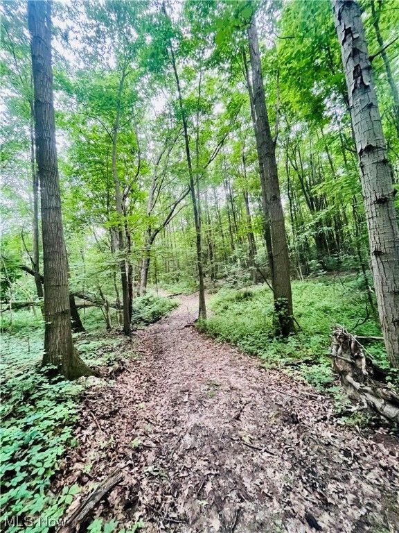 Kingsville, Ashtabula County, OH Farms and Ranches for sale Property ID