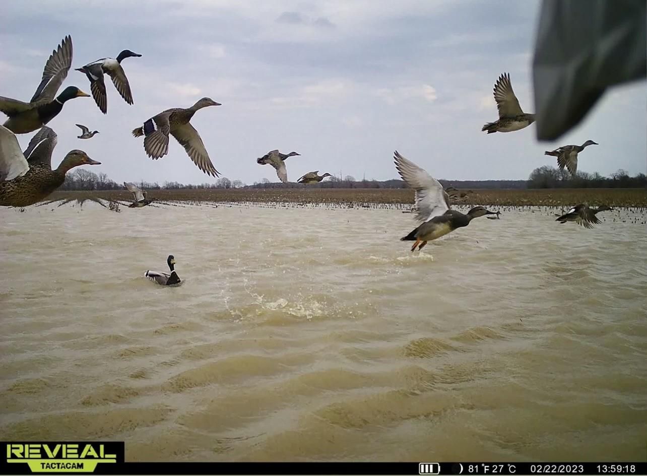 Lambert, Quitman County, MS Farms and Ranches, Recreational Property