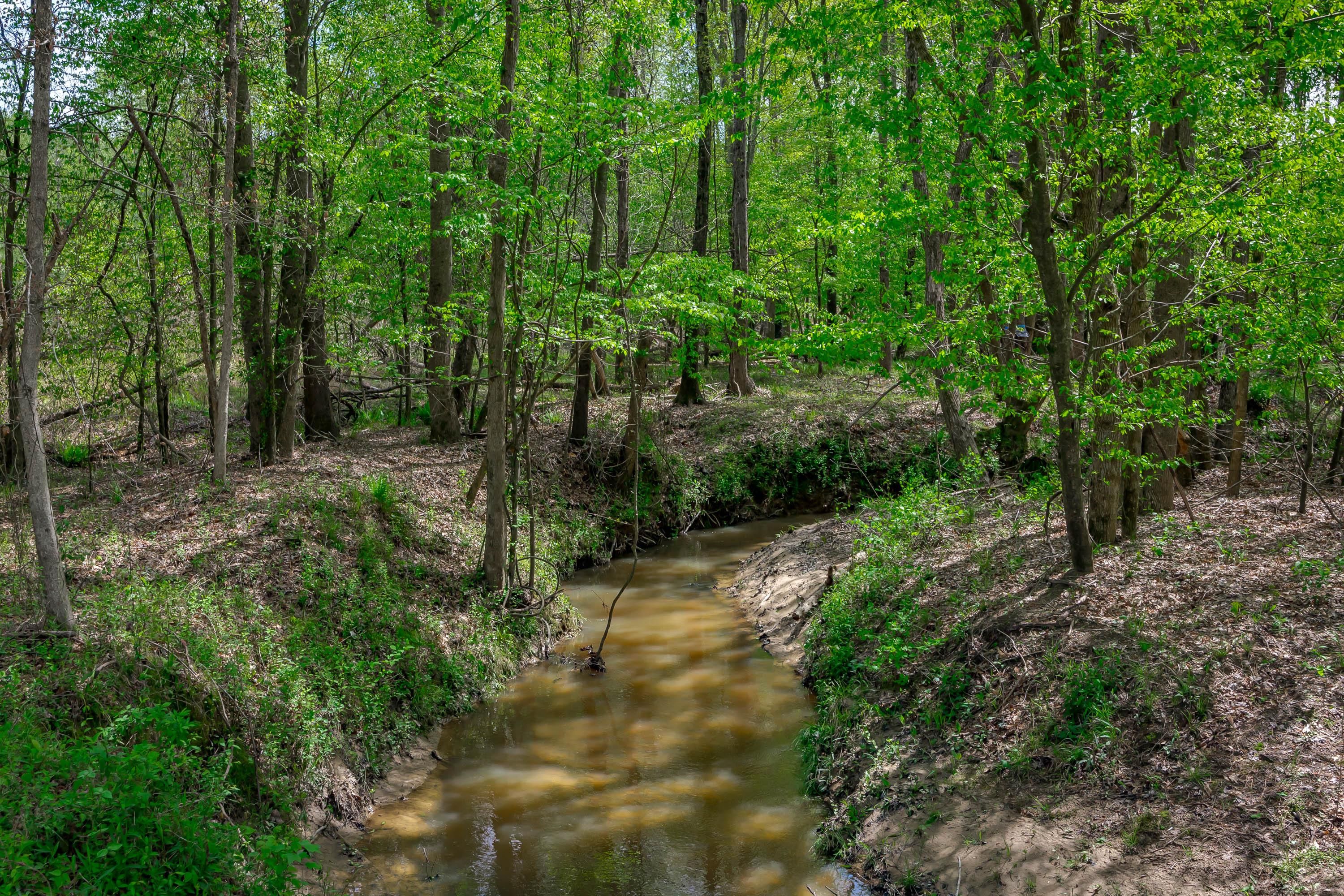 Heath Springs, Lancaster County, SC Recreational Property, Timberland