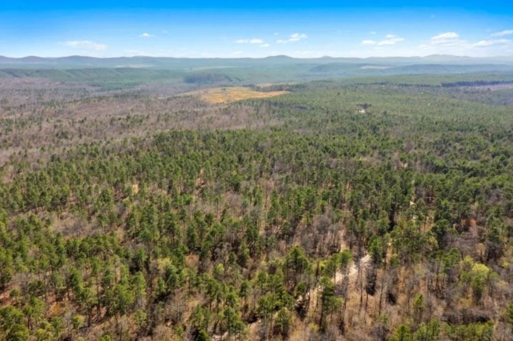 Watson, McCurtain County, OK Recreational Property, Undeveloped Land