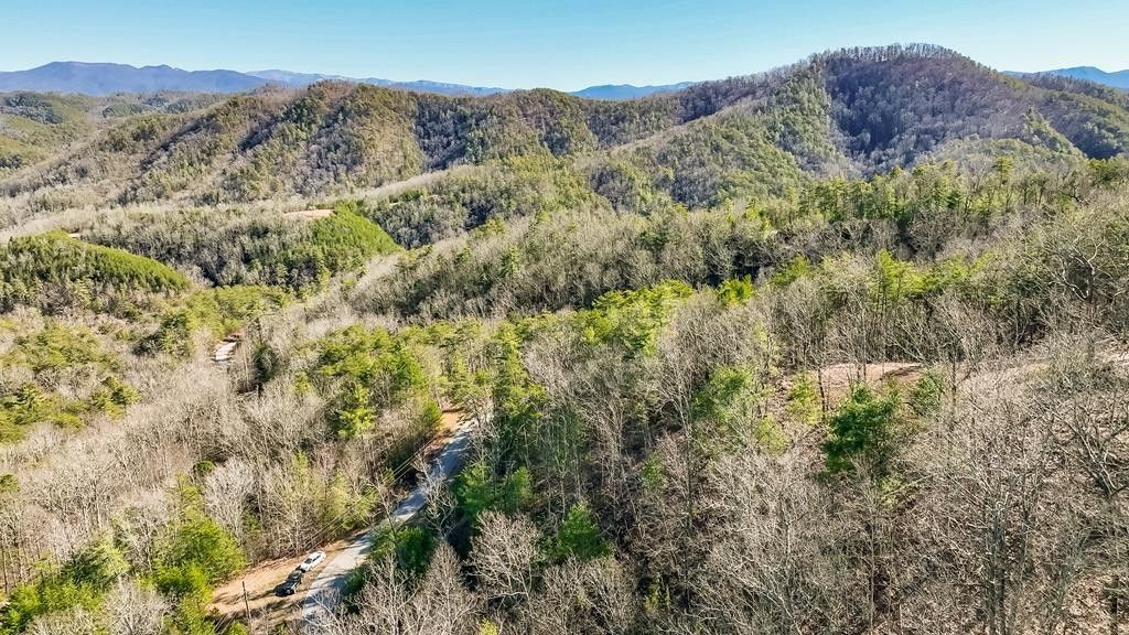 Tellico Plains, Monroe County, TN Undeveloped Land for sale Property ID