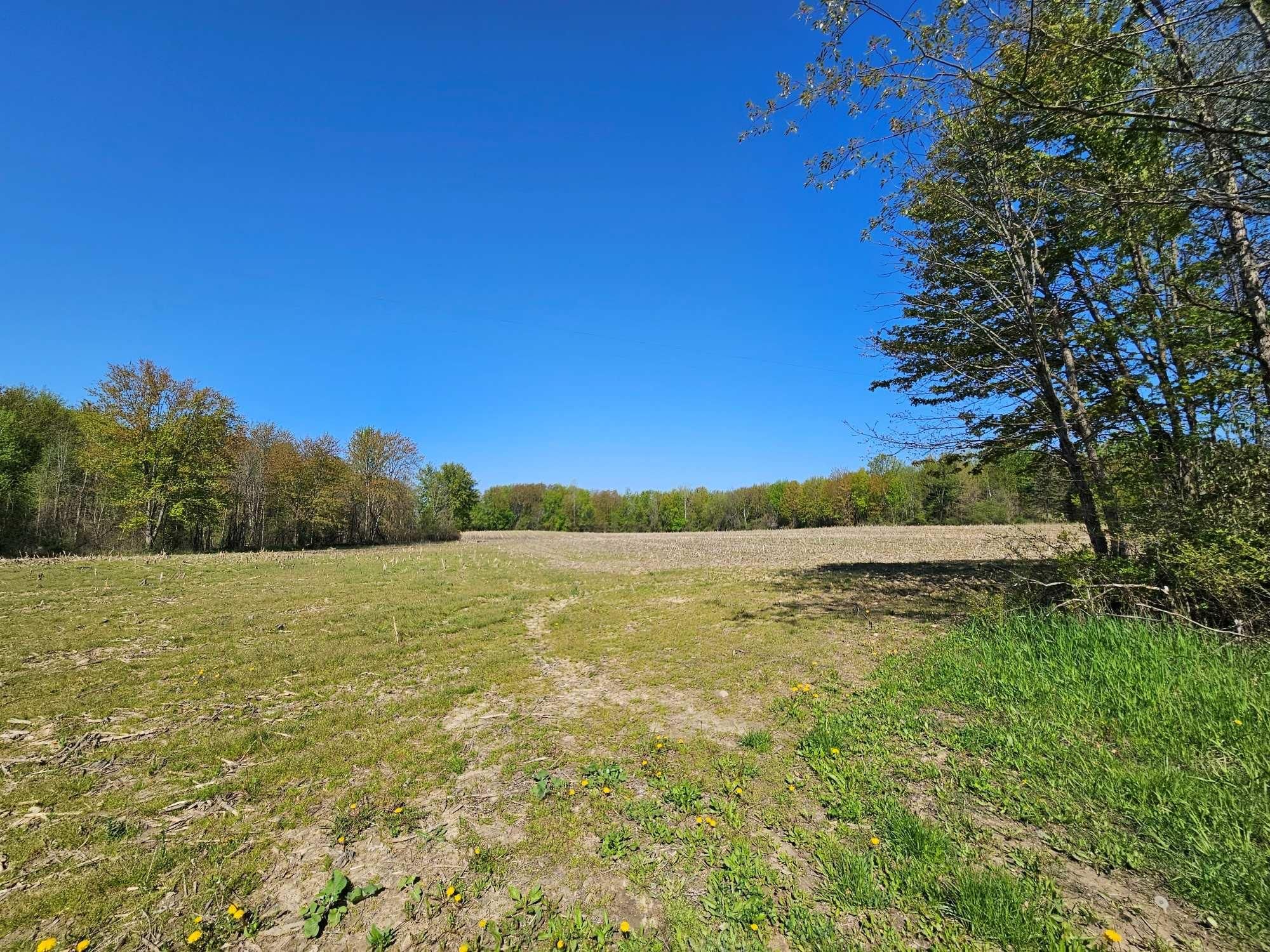 V/L Hamill Rd. Otisville, MI 48463, Otisville, MI 48463 MLS 23003883