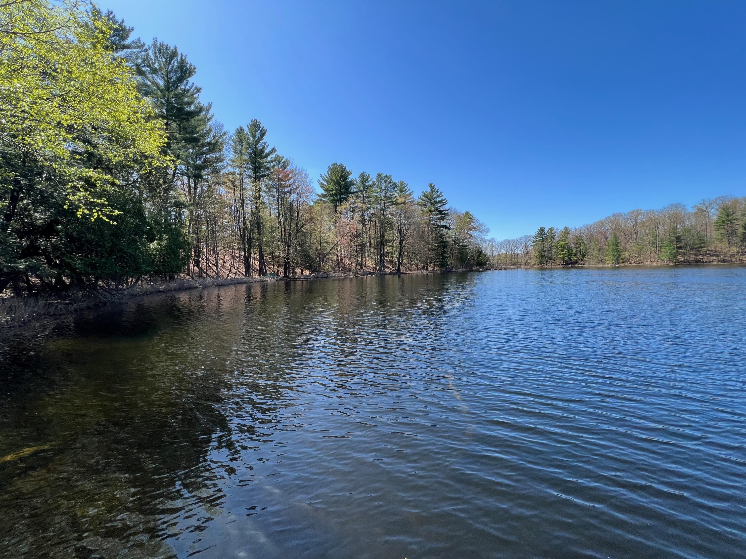 Irons, Lake County, MI Undeveloped Land, Lakefront Property, Waterfront