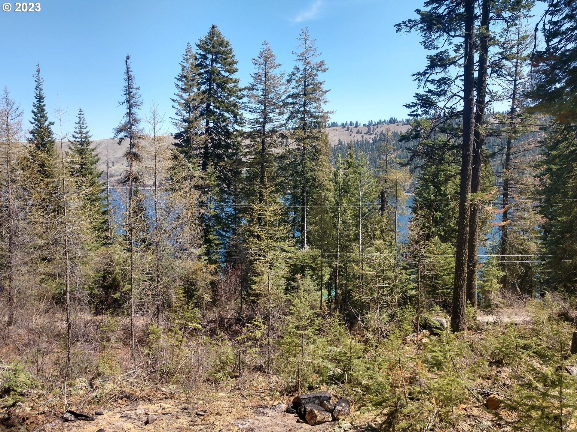 Joseph, Wallowa County, OR Farms and Ranches, Homesites for sale