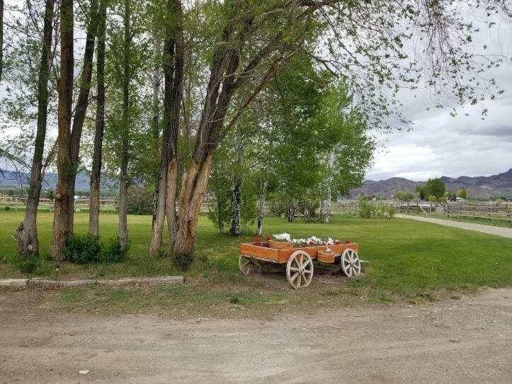 Challis, Custer County, ID House for sale Property ID 416434992