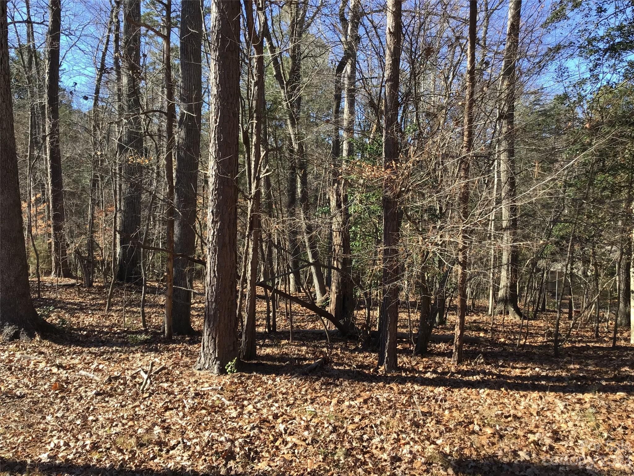 Mount Gilead, Montgomery County, NC Farms and Ranches, Homesites for