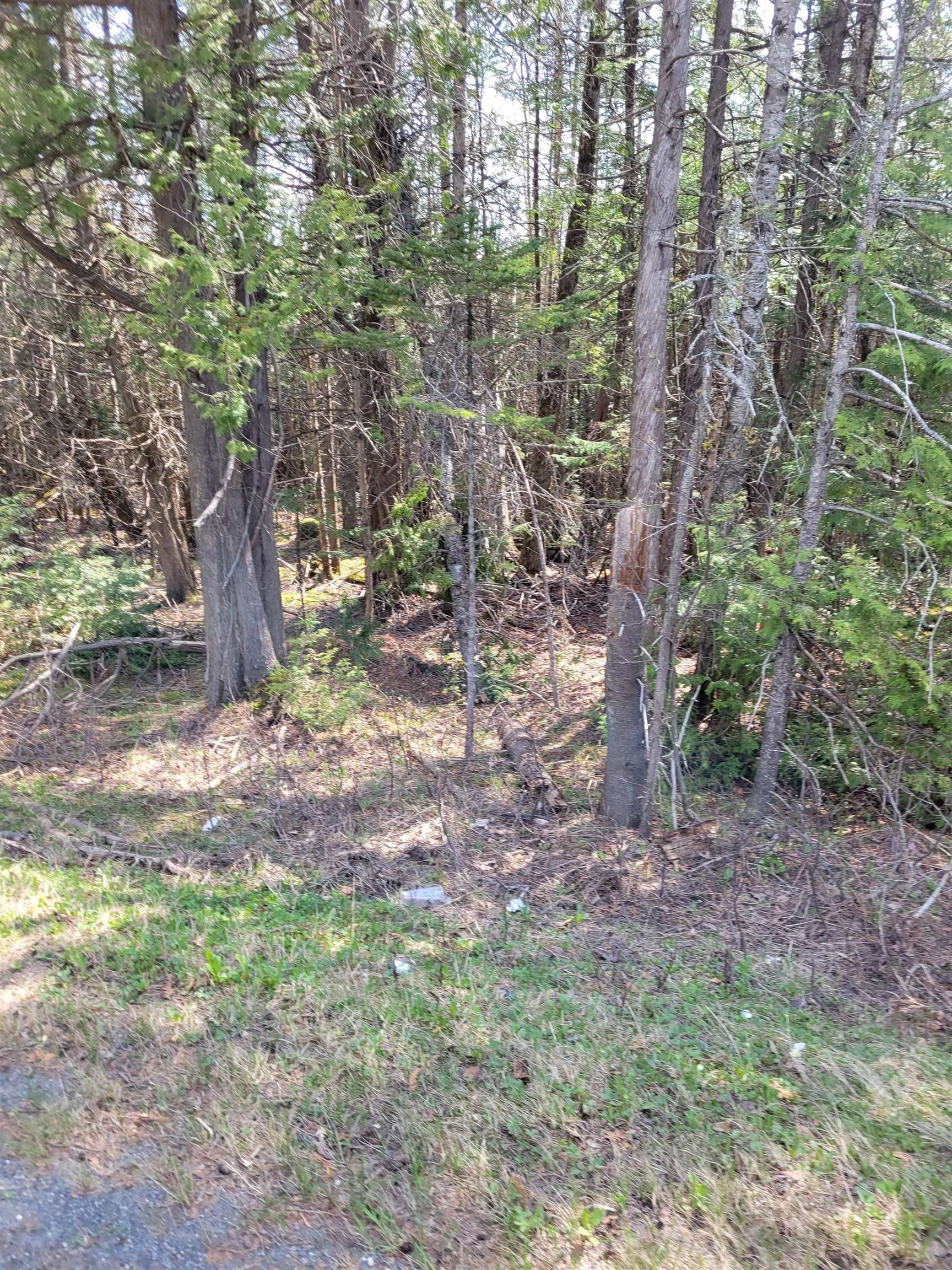 Burke, Caledonia County, VT Undeveloped Land for sale Property ID