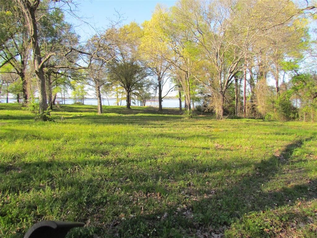 Alba, Wood County, TX Undeveloped Land, Lakefront Property, Waterfront