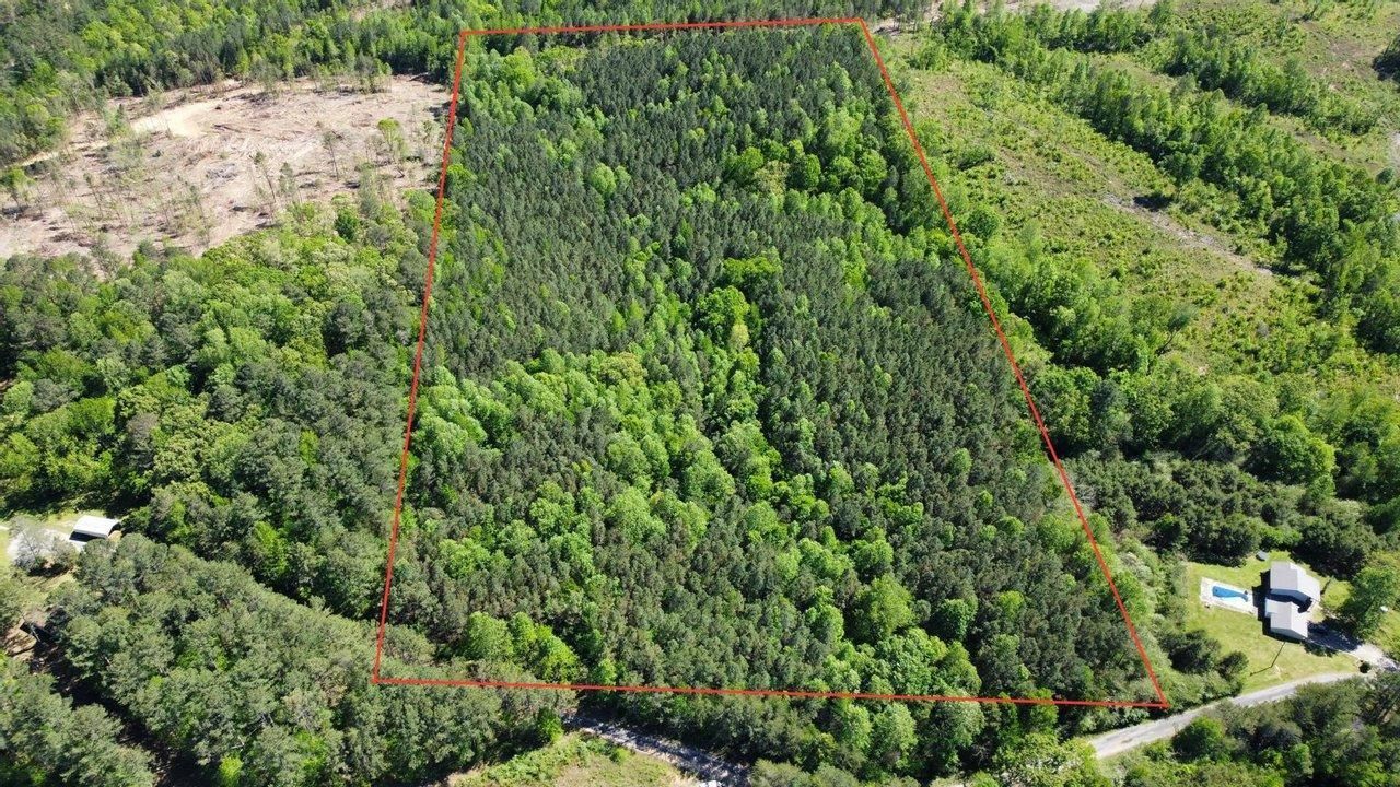 Lynn, Winston County, AL Recreational Property, Timberland Property