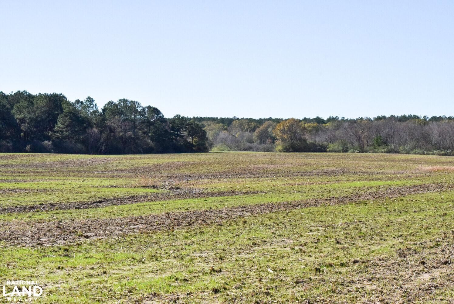 Beaumont, Perry County, MS Farms and Ranches, Recreational Property