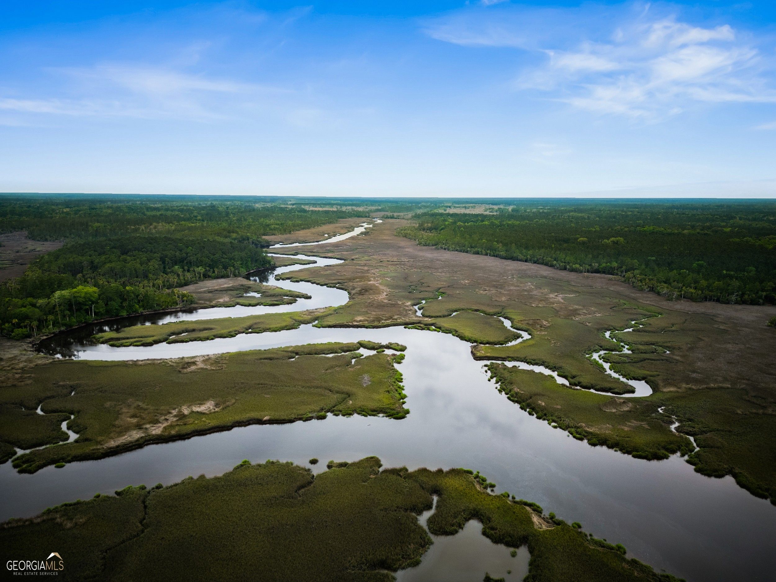 Brunswick, Glynn County, GA Farms and Ranches for sale Property ID