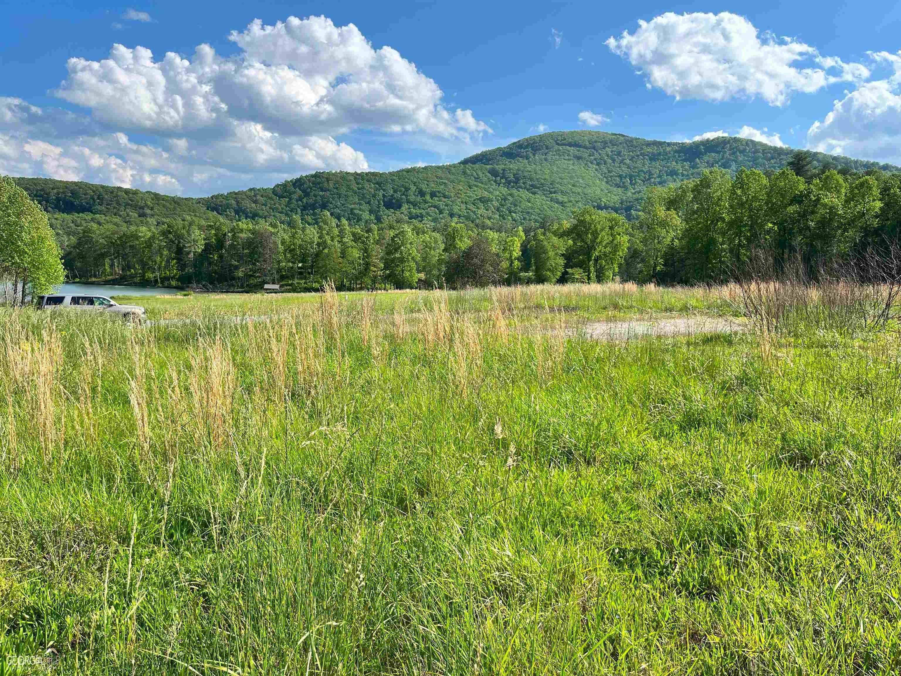 Sautee Nacoochee, White County, GA Farms and Ranches, Homesites for sale Property ID 416439136