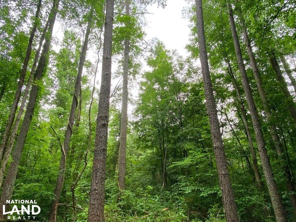 Arab, Marshall County, AL Recreational Property, Timberland Property