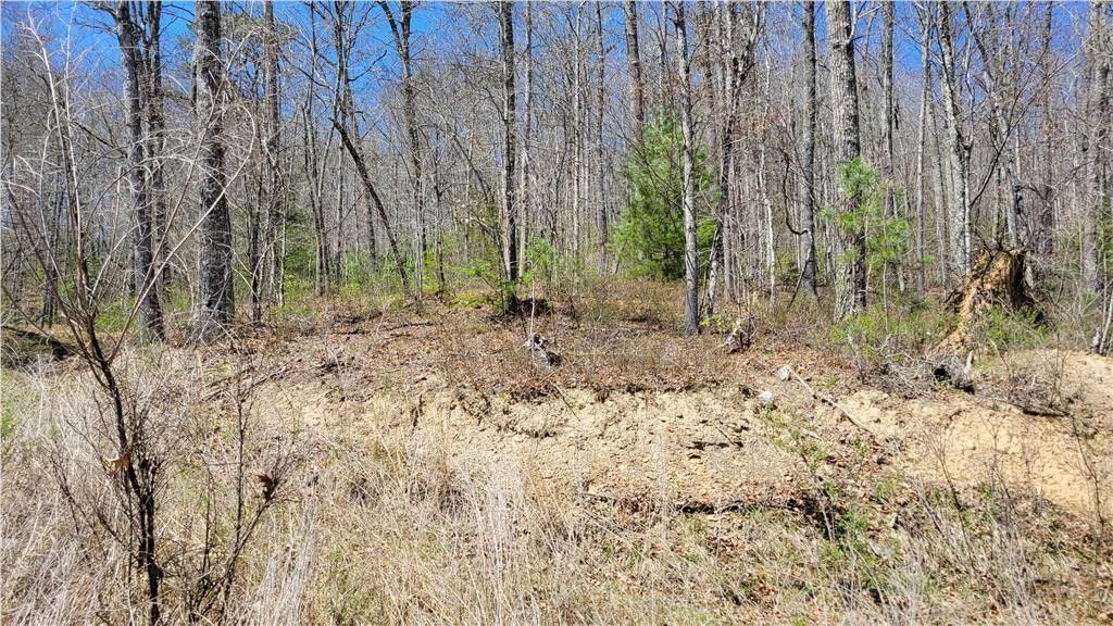Bastian, Tazewell County, VA Commercial Property for sale Property ID