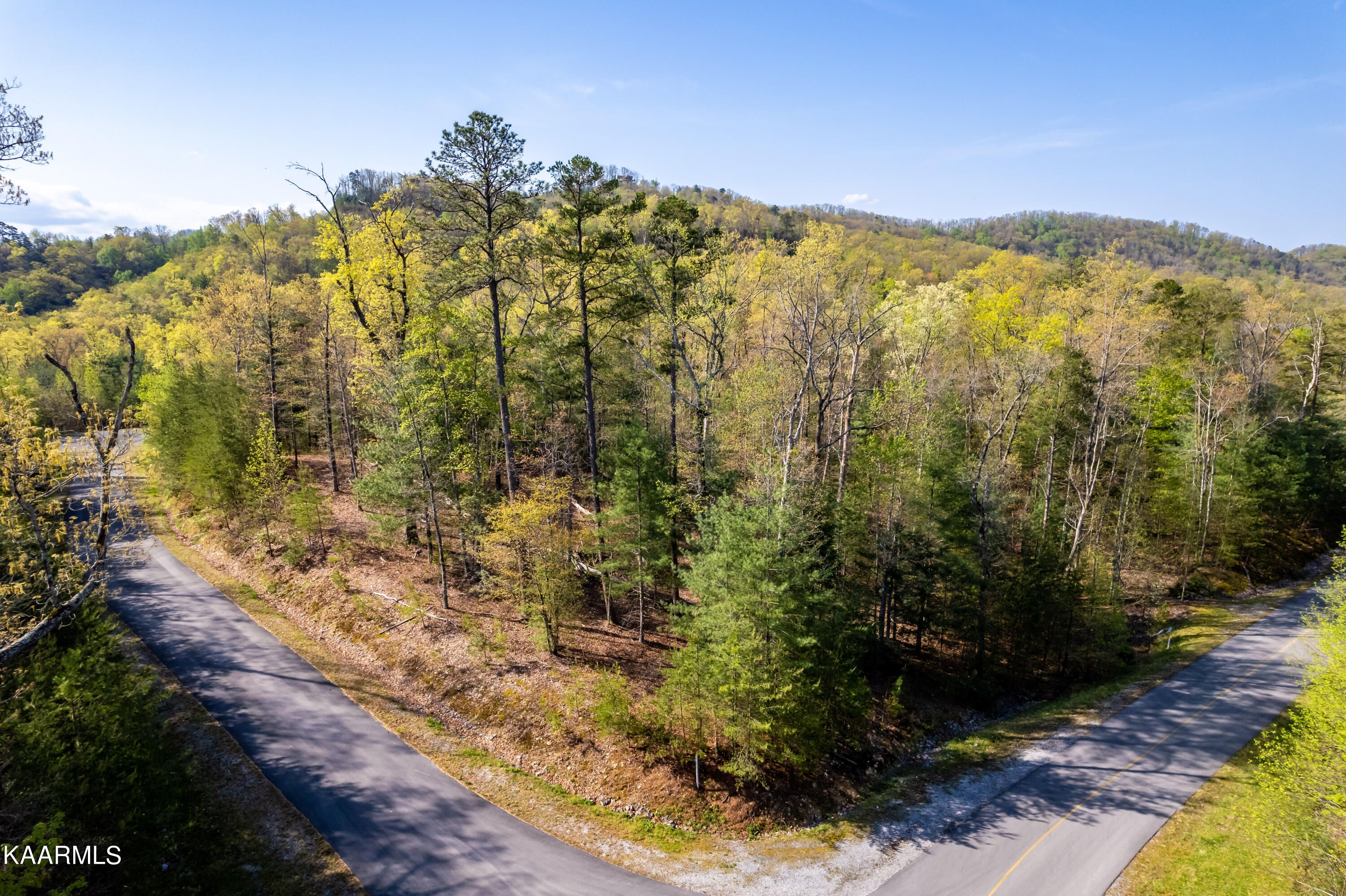 Walland, Blount County, TN Undeveloped Land for sale Property ID