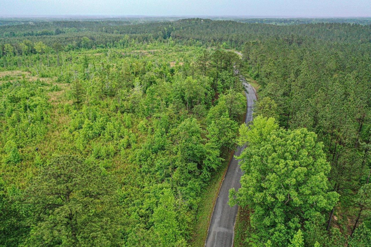 Noxapater, Winston County, MS Recreational Property, Undeveloped Land