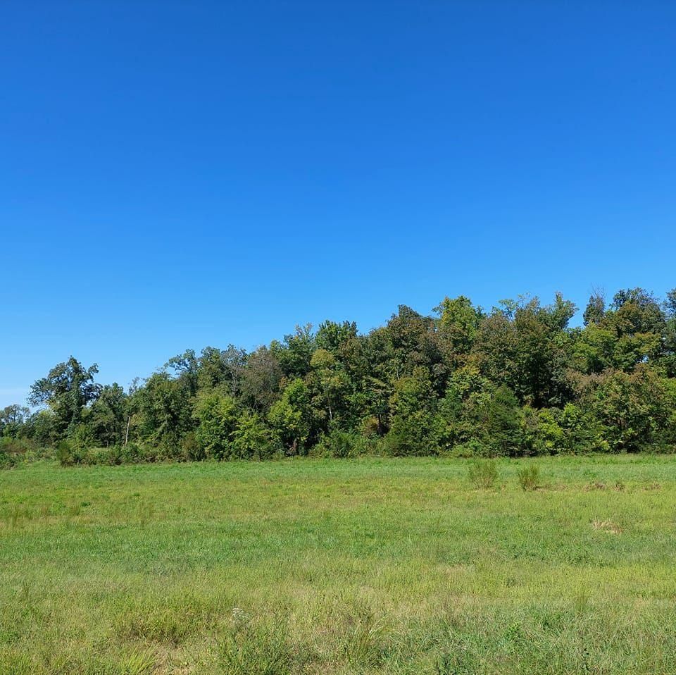 Linden, Perry County, TN Undeveloped Land for sale Property ID 416442249 LandWatch