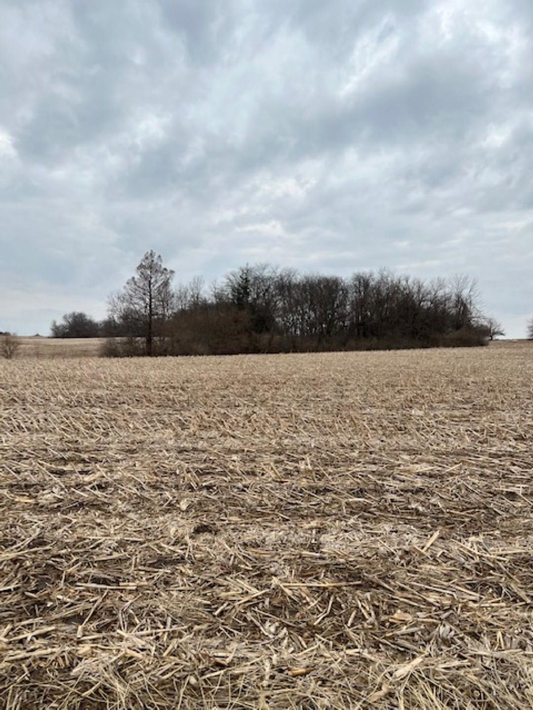 County Road 800 North, Eureka, IL 61530 MLS PA1231852 LandWatch