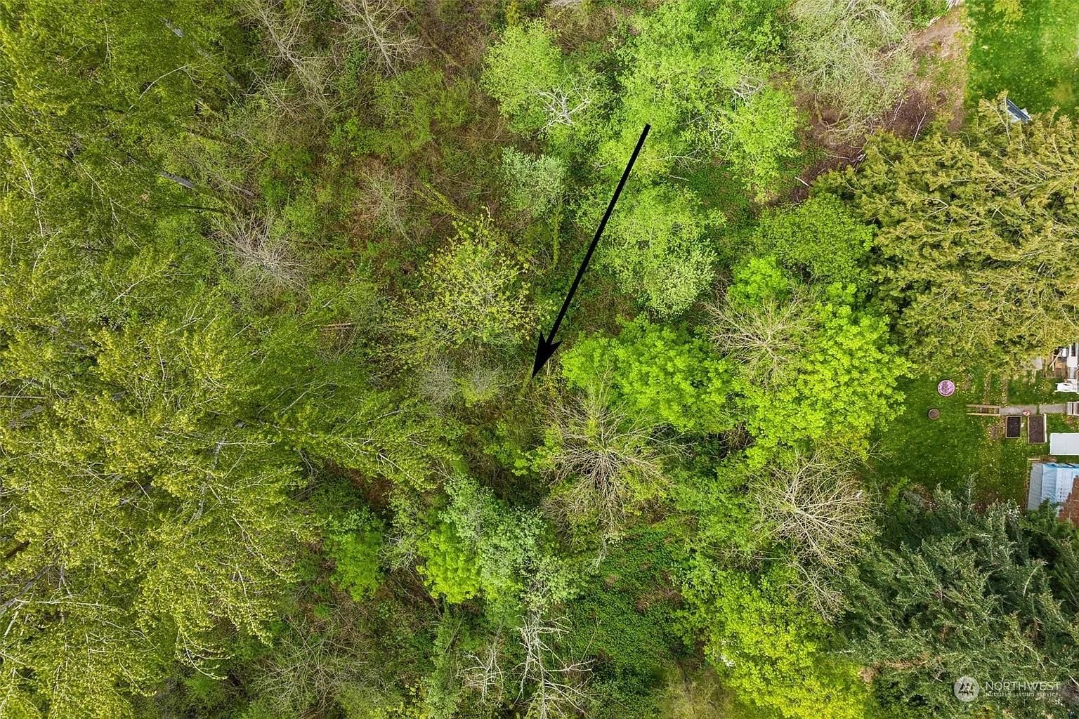 Seattle, King County, WA Undeveloped Land, Homesites for sale Property