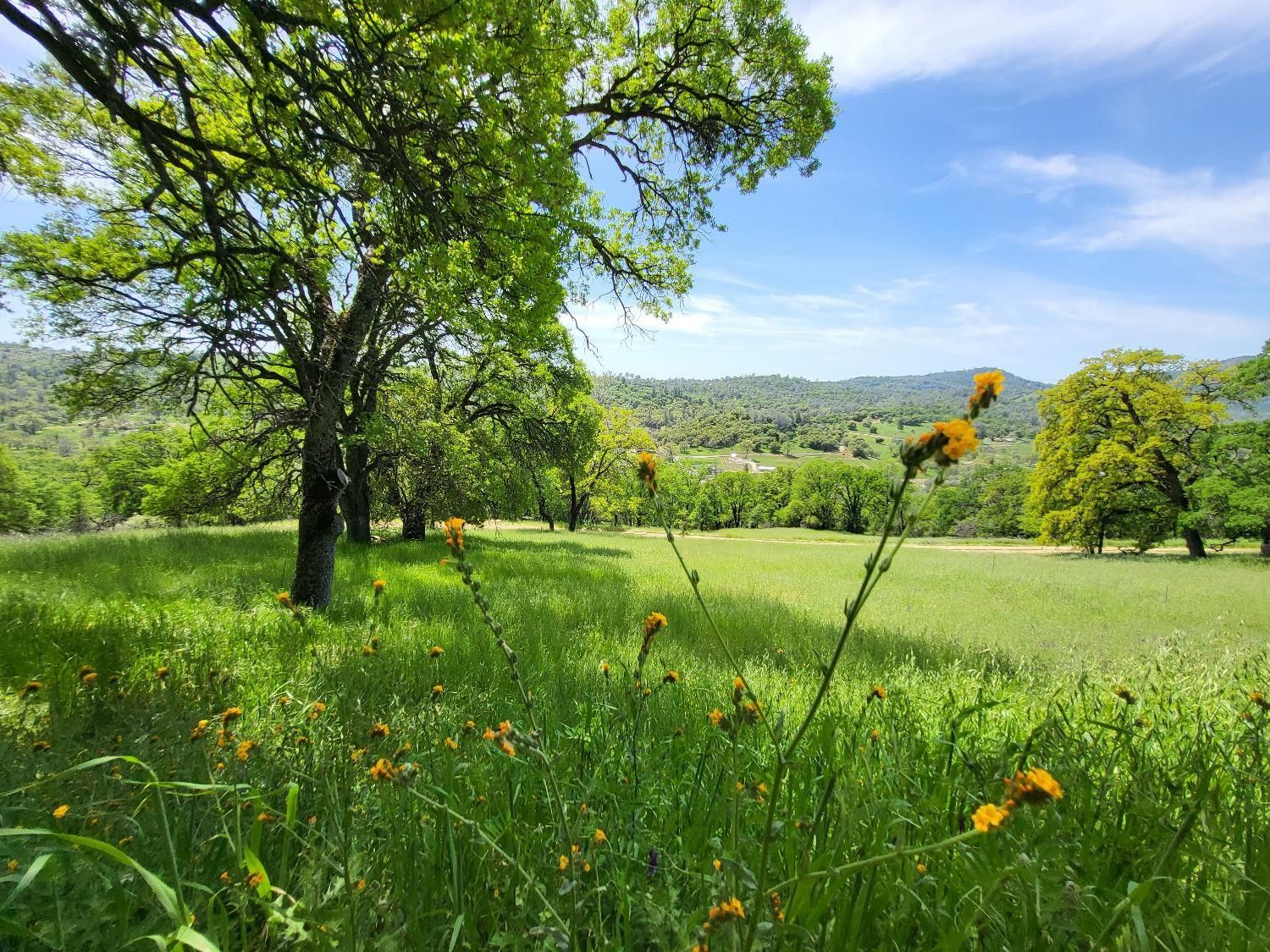 Angels Camp, Calaveras County, CA Farms and Ranches for sale Property