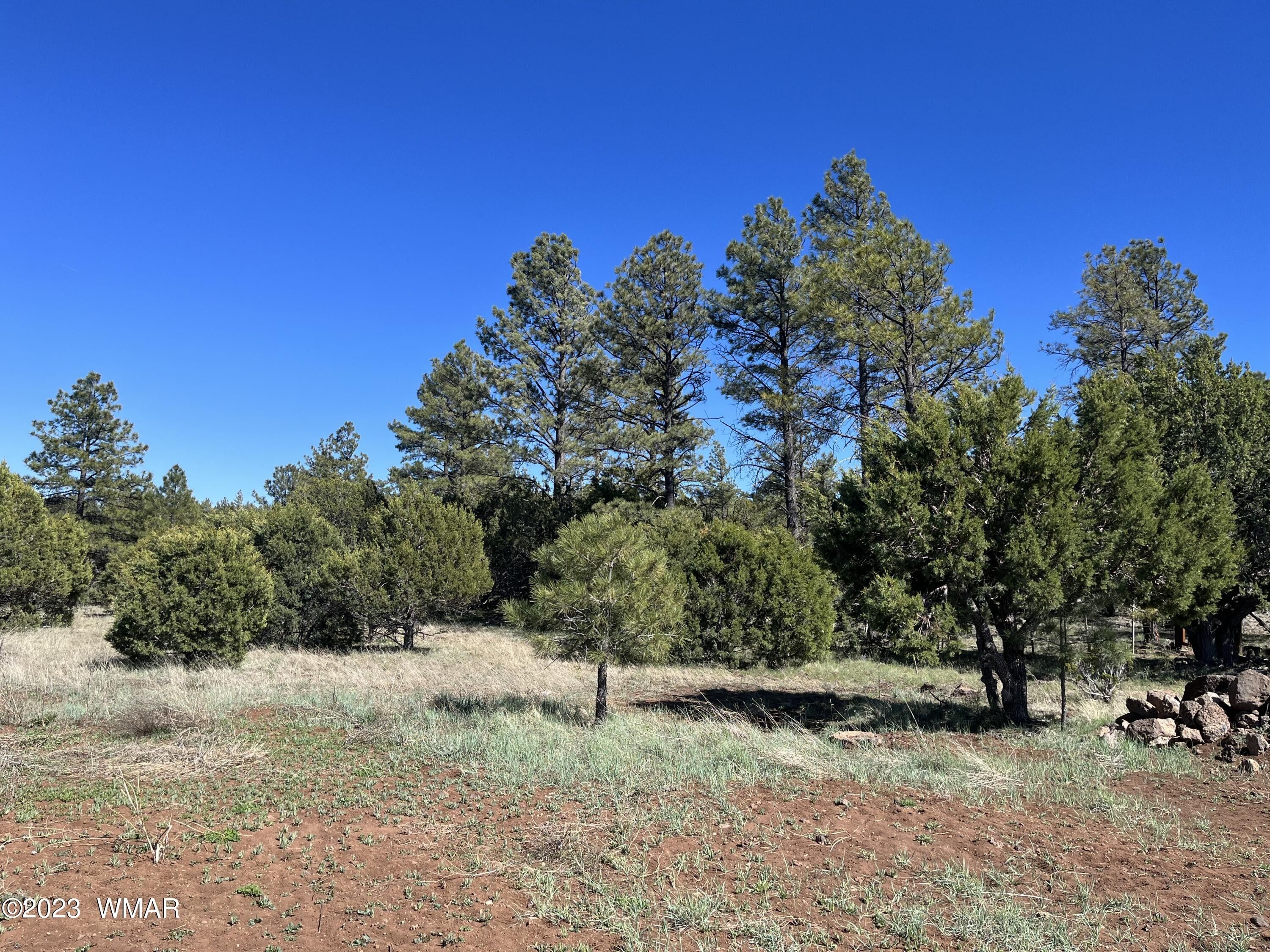 Lakeside, Navajo County, AZ Homesites for sale Property ID 416446000