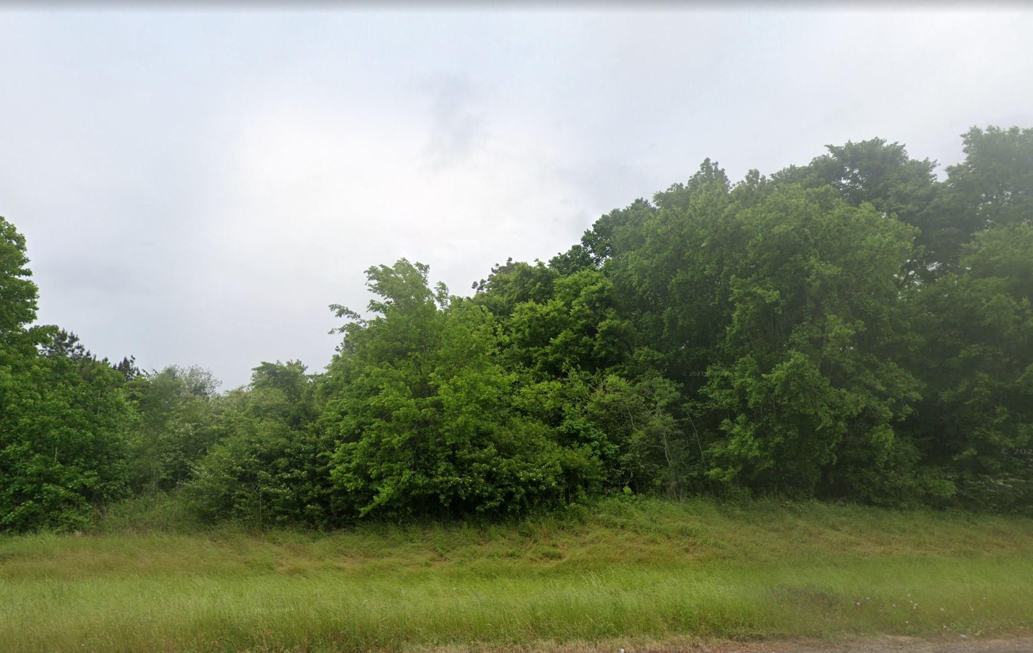 Coldspring, San Jacinto County, TX Recreational Property, Undeveloped