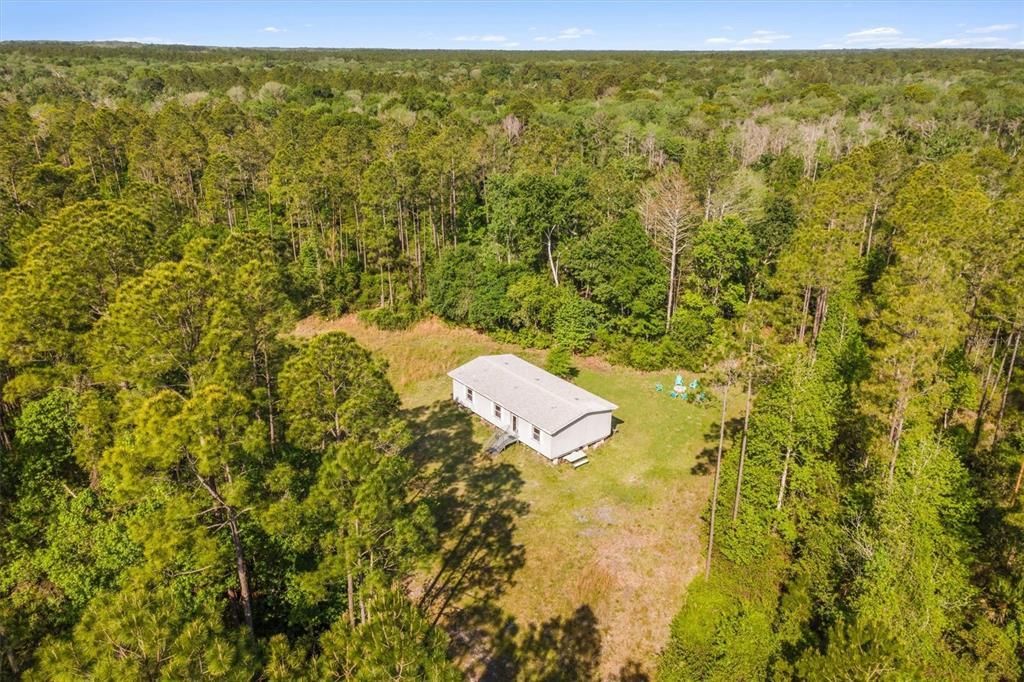 Chiefland, Levy County, FL Farms and Ranches, Timberland Property for