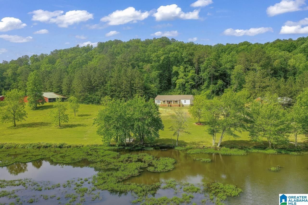 Morris, Jefferson County, AL Lakefront Property, Waterfront Property