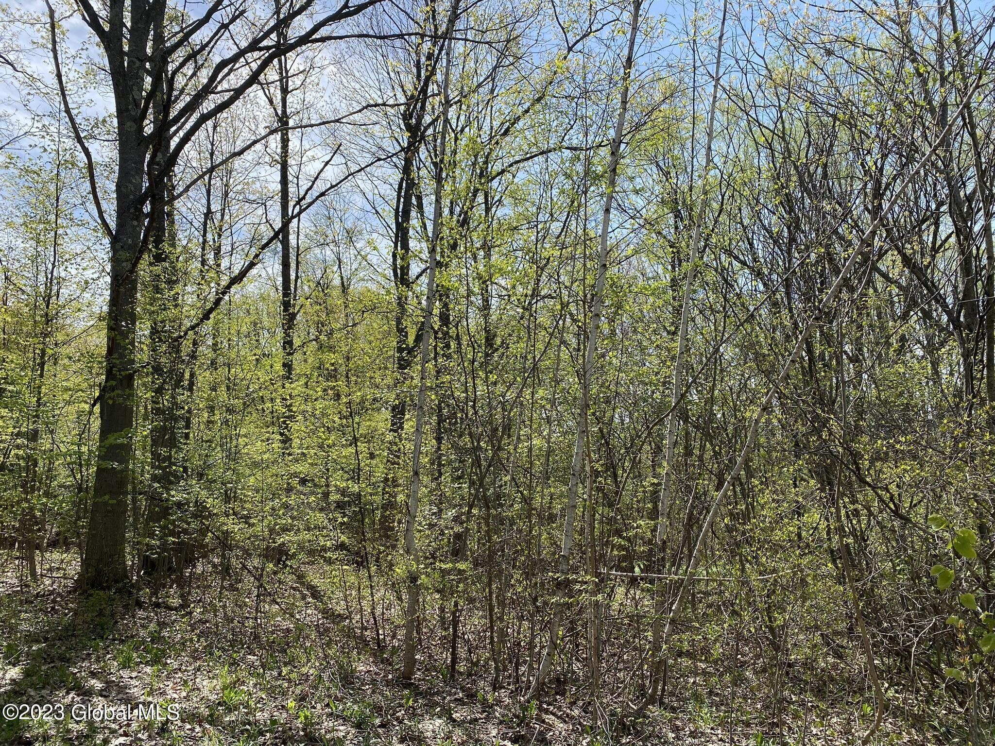 Charleston, Montgomery County, NY Farms and Ranches for sale Property