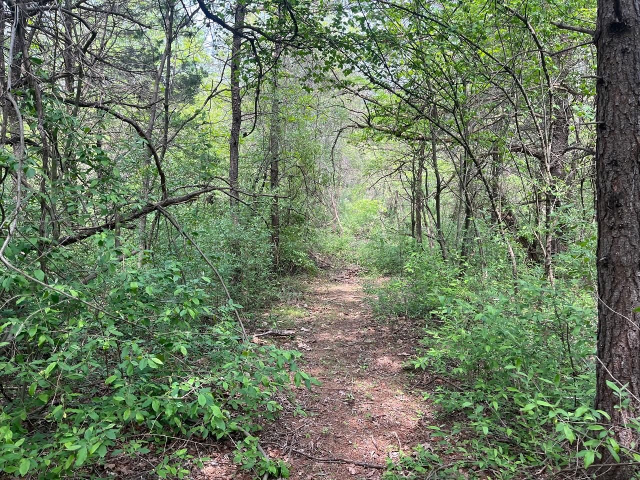 Shale Hill Lane, Augusta, WV 26704 MLS WVHS2003316 LandWatch