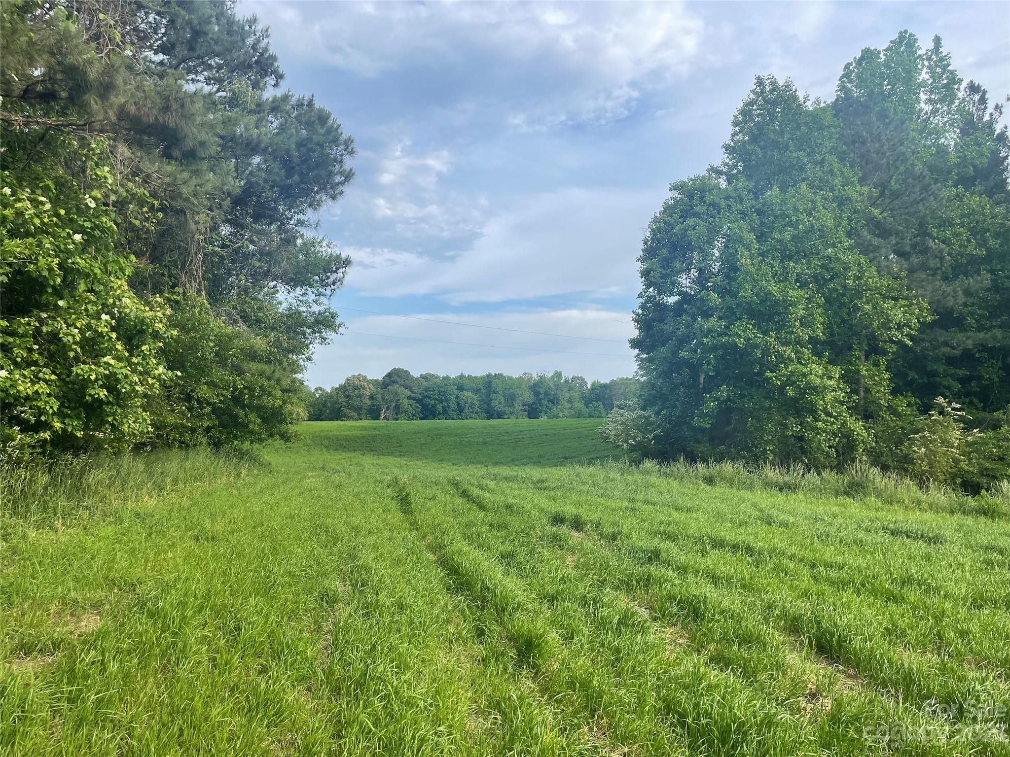 Troy, Montgomery County, NC Farms and Ranches for sale Property ID