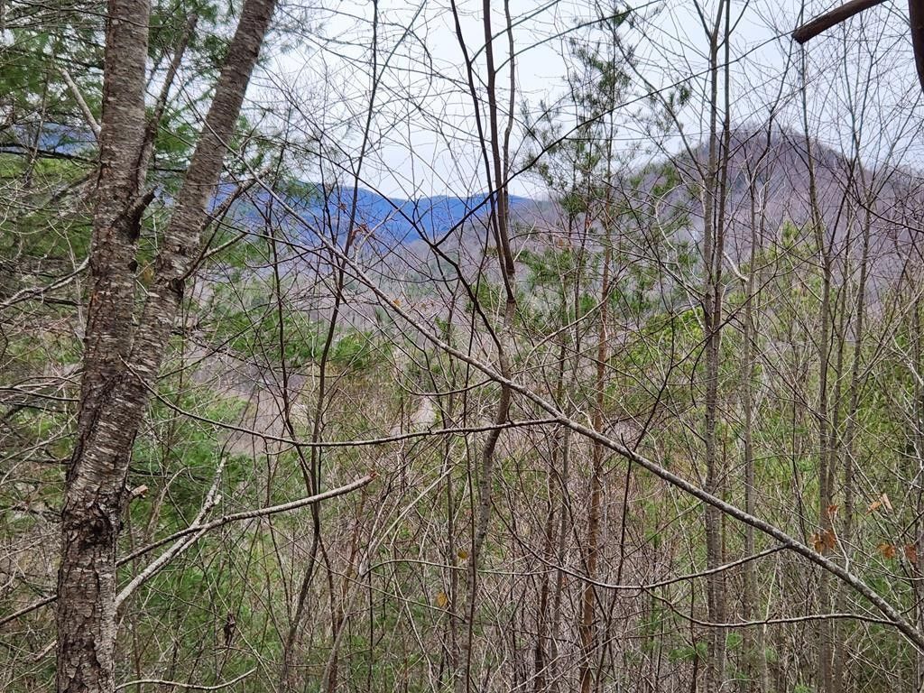 Otto, Macon County, NC Farms and Ranches, Homesites for sale Property