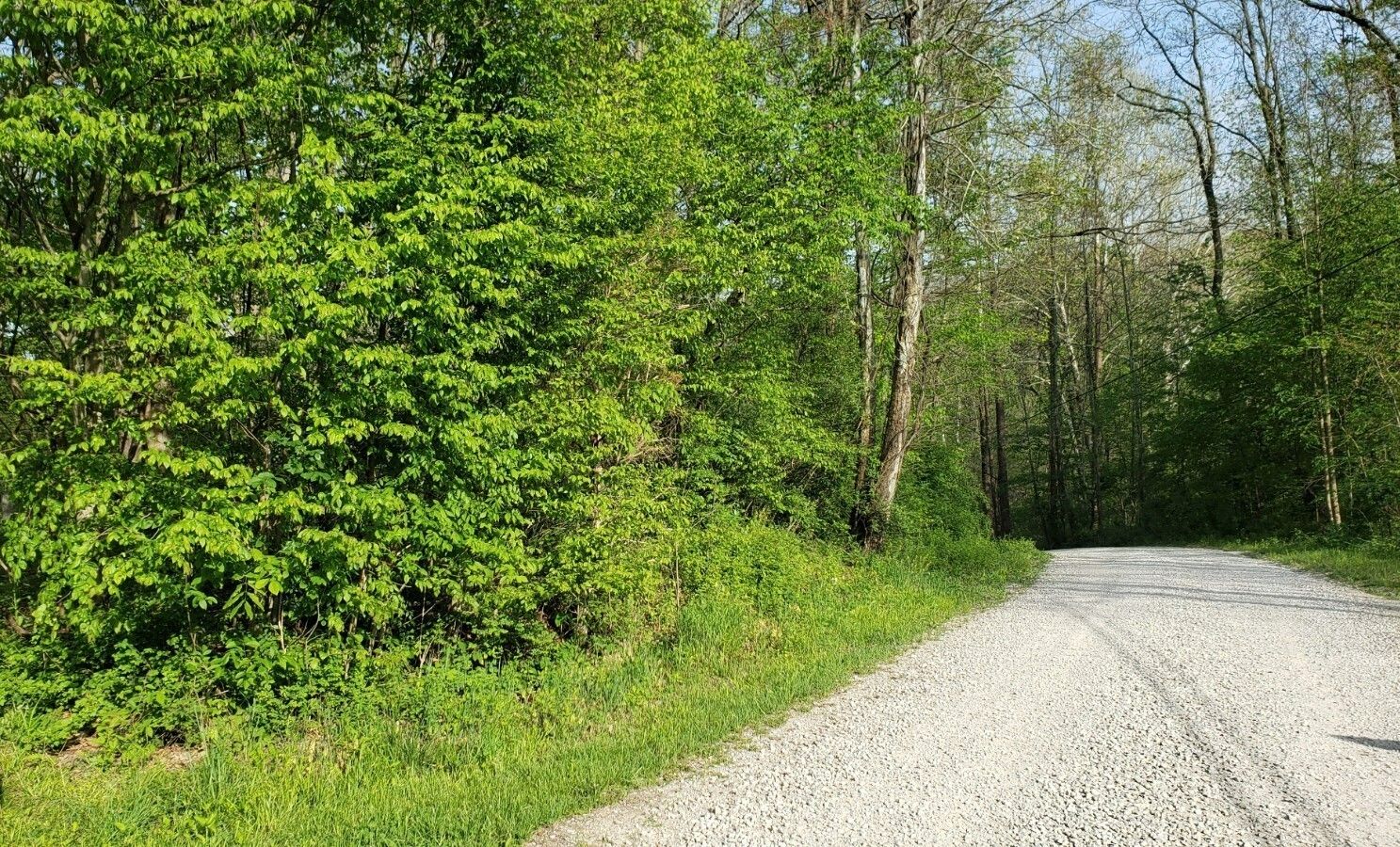 Poland, Owen County, IN Undeveloped Land for sale Property ID